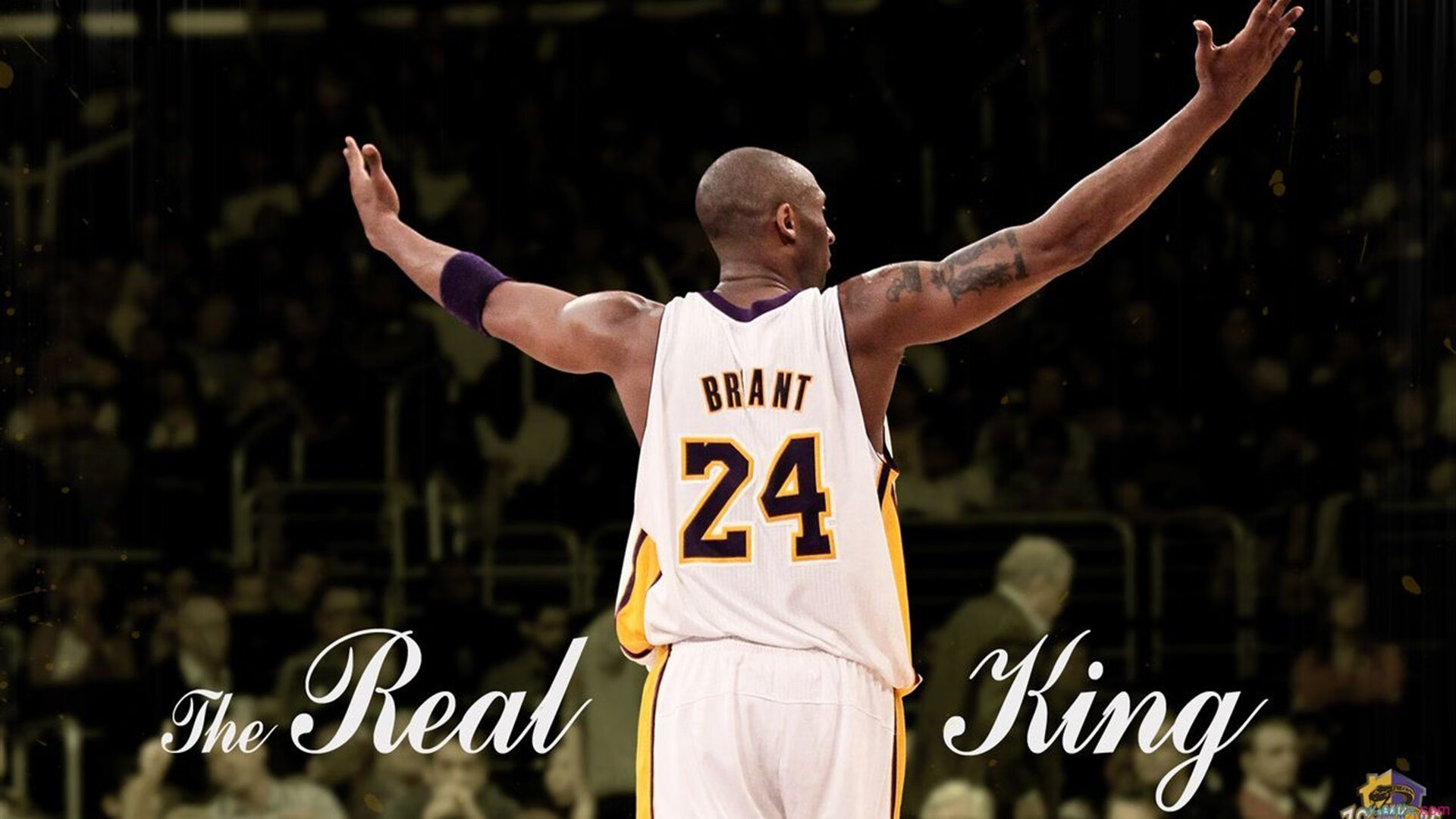 九游娱乐(jiuyou)官网-_花样滑冰世界锦标赛：精彩绝伦的技艺展示_，花样滑冰世锦赛现场,伴随着音乐的高潮